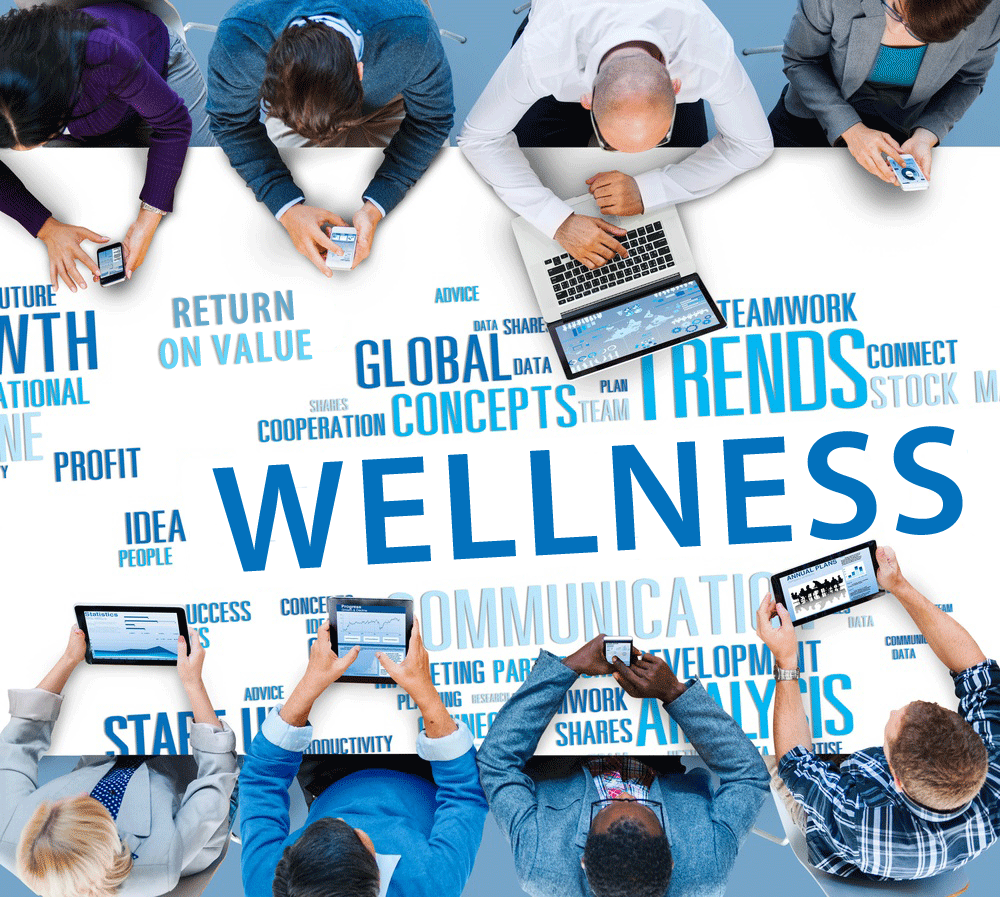 Metrics Wellness Programs