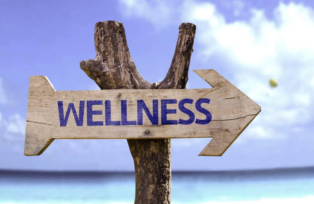 Best Sophisticated Wellness Programs