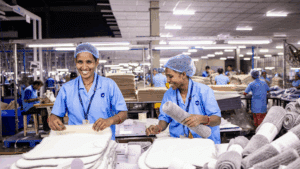 Emotional Ergonomics in the Workplace: A Wellness Priority